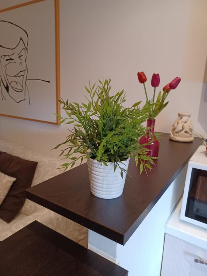 Portonhouse Apartment โรม ภายนอก รูปภาพ